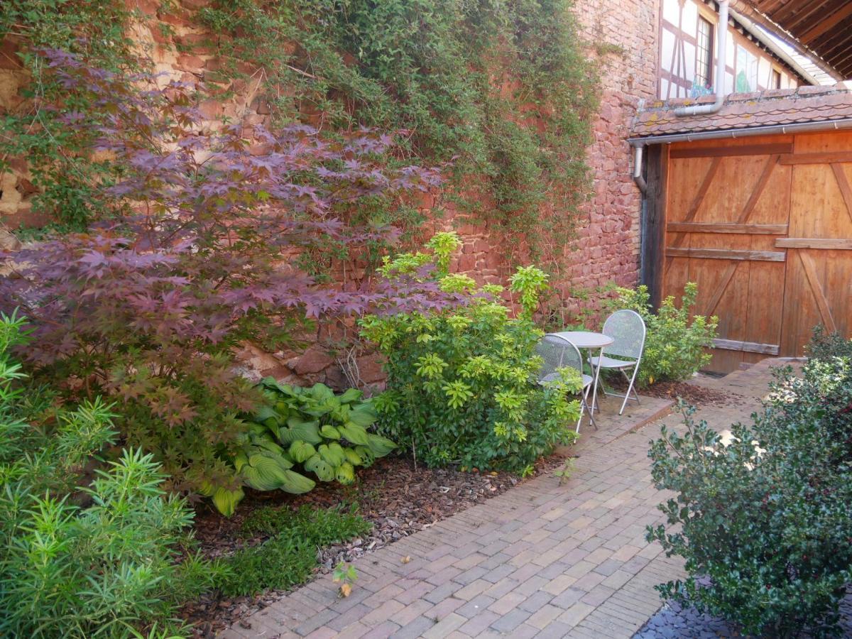Au Gre Des Chateaux Goxwiller Exterior foto